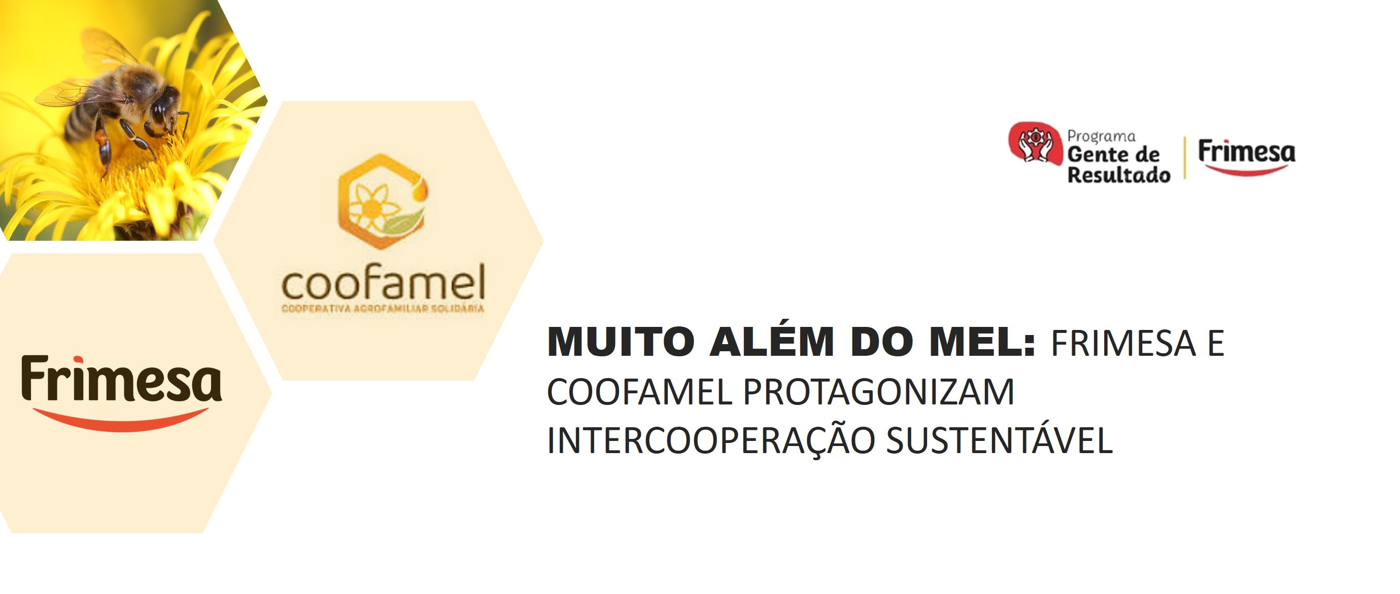 Muito Além do Mel: Frimesa e Coofamel Protagonizam Intercooperação Sustentável