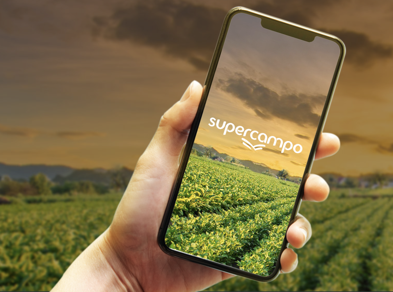 Marketplace cooperativista: conheça a Supercampo